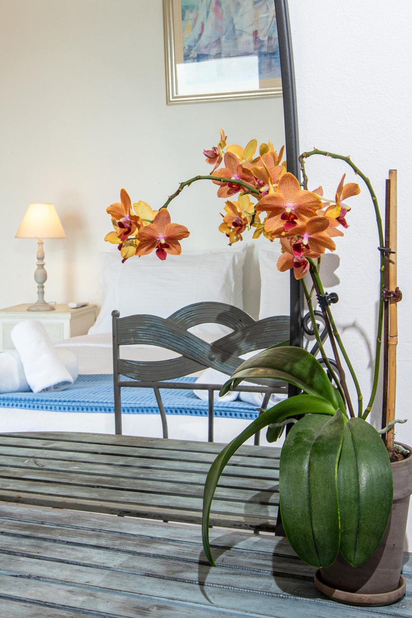 Dimitra Apartment With Private Pool And Sea View -The Ground Floor Of A Two Storey Building Daratsos Dış mekan fotoğraf
